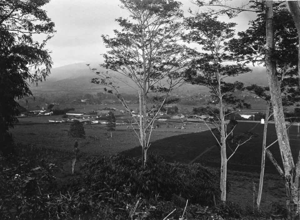Peternakan sapi Friesian keluarga Ursone di Lembang: konteks sejarah peternakan, bukan dokumentasi berdirinya KPSBU 1971