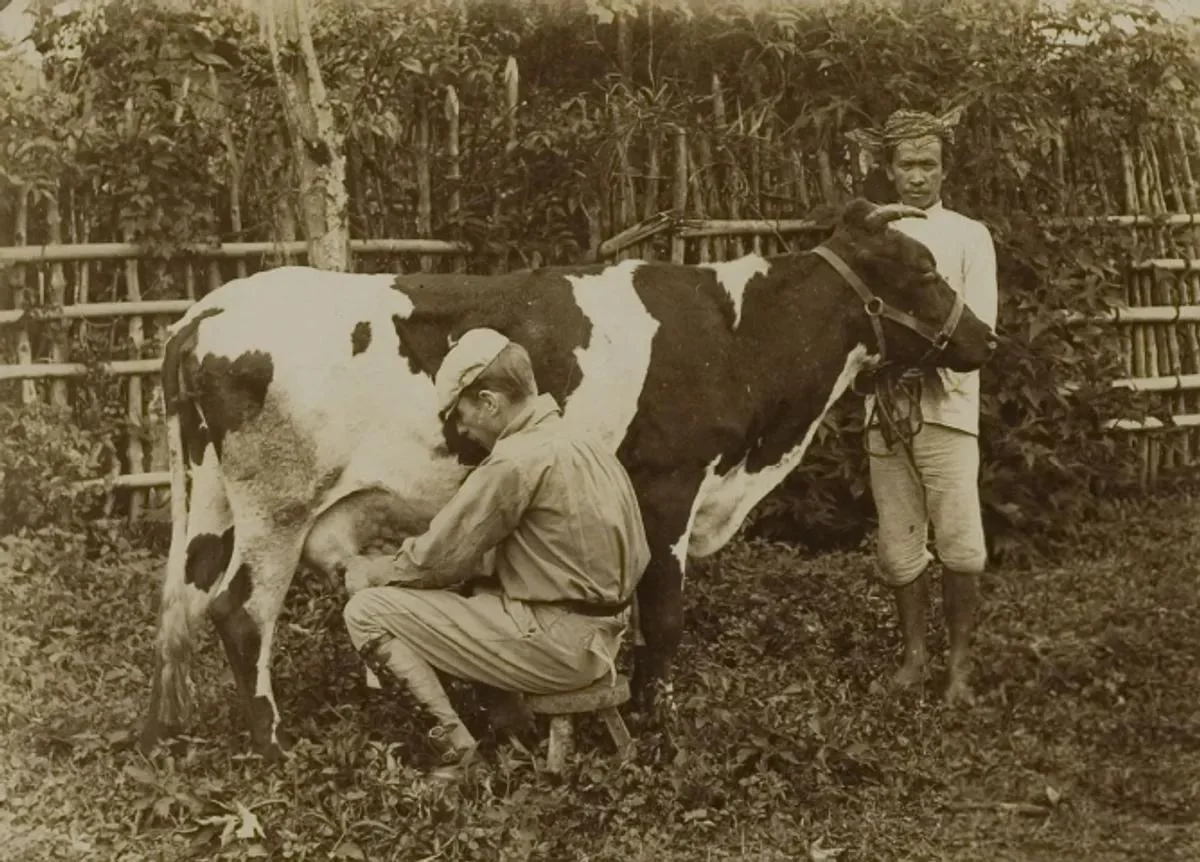 Sejarah — Vrijheidslust 19 Orang Boer di Lembang Tahun 1903